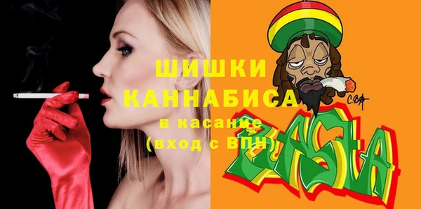 ГАЛЛЮЦИНОГЕННЫЕ ГРИБЫ Аркадак