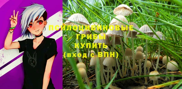 бошки Армянск