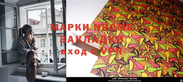 ГАЛЛЮЦИНОГЕННЫЕ ГРИБЫ Аркадак