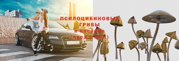 ГАЛЛЮЦИНОГЕННЫЕ ГРИБЫ Аркадак
