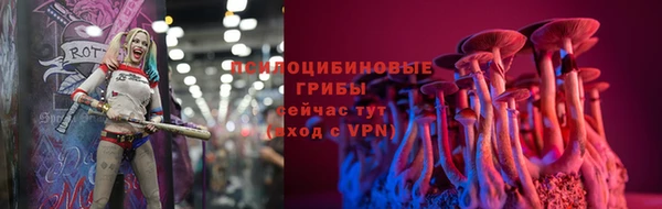 бошки Армянск