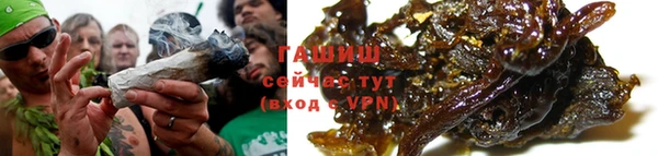 ГАЛЛЮЦИНОГЕННЫЕ ГРИБЫ Аркадак