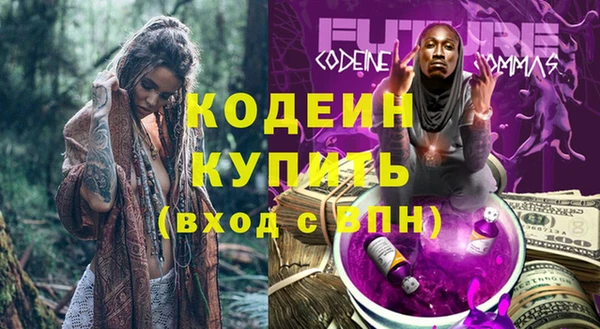 ГАЛЛЮЦИНОГЕННЫЕ ГРИБЫ Аркадак