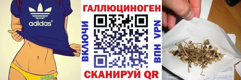 Галлюциногенные грибы мухоморы Рыбное